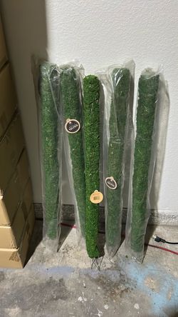 Moss Pole for Indoor Plants  3 ft tall