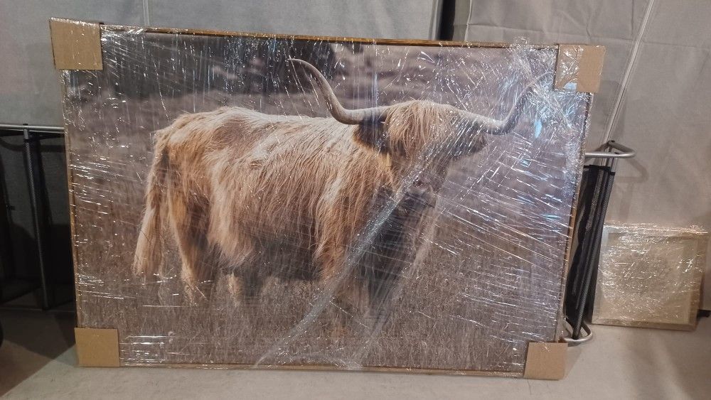 Wall Art Framed, $25
Dimensions: 47" Wide × 33" High