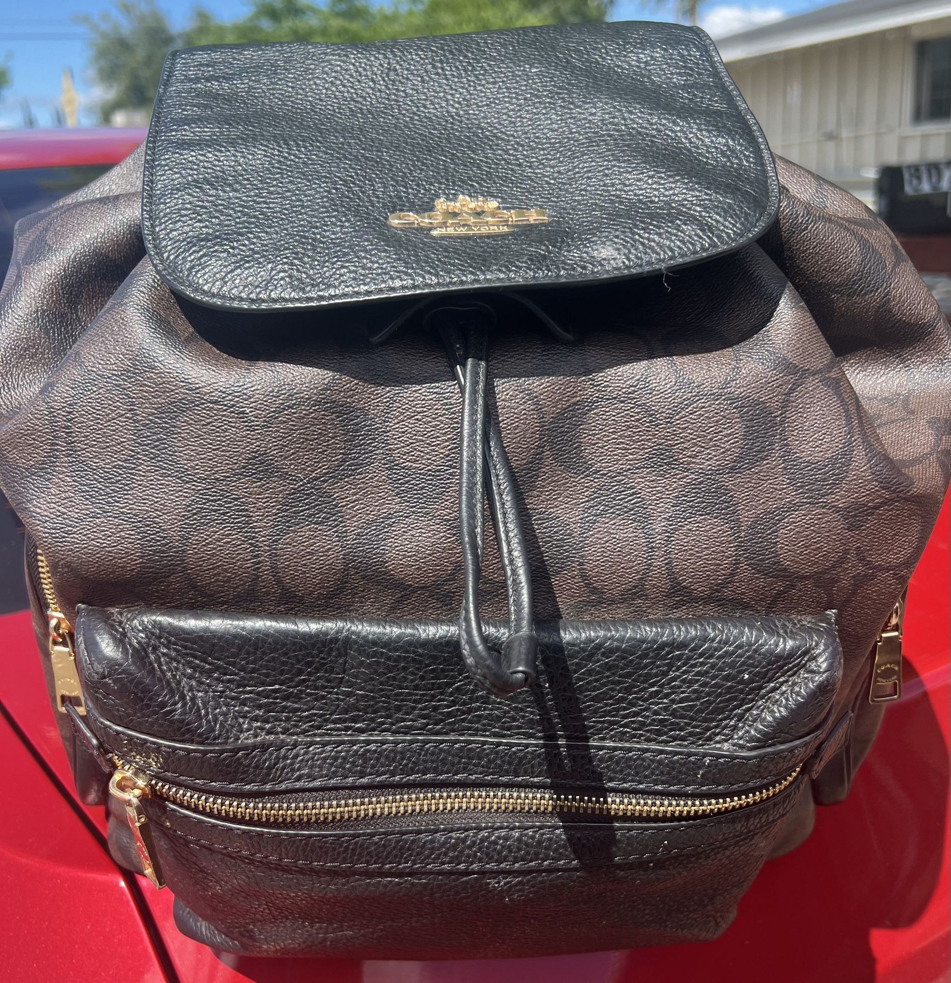 Large Coach Backpack