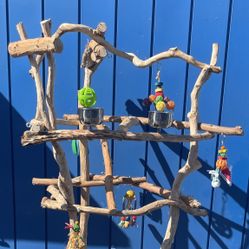Large Parrot Perch Tree - “Tall Boy” Model Keeps Your Bird Up And Safe !! 👍🏼