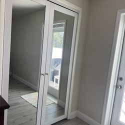 French Closet Door with Hardware 24x80