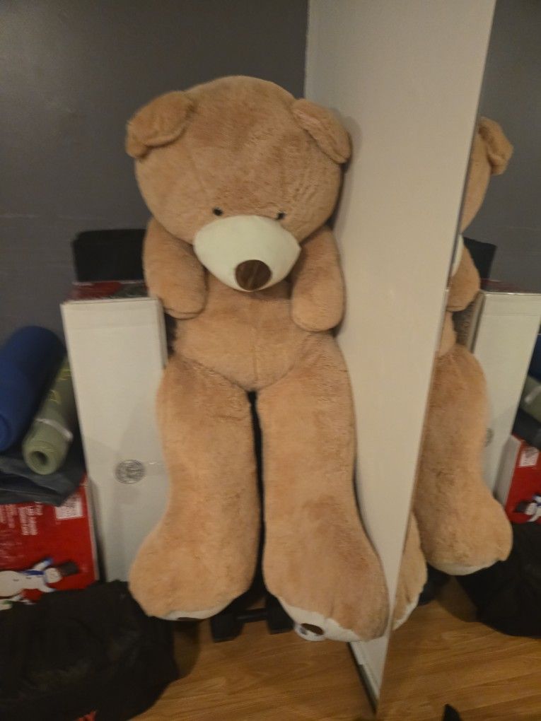 Tall Teddy Bear