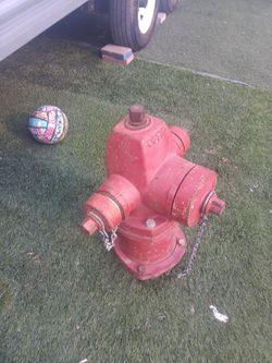 Real fire hydrant