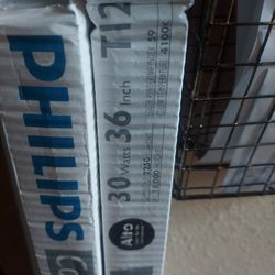 PHILLIPS lights