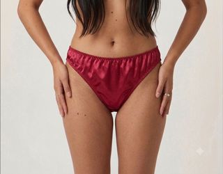 Women's  Seamless Silk Brief Panty