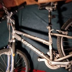 Giant 24' Bicycle 
