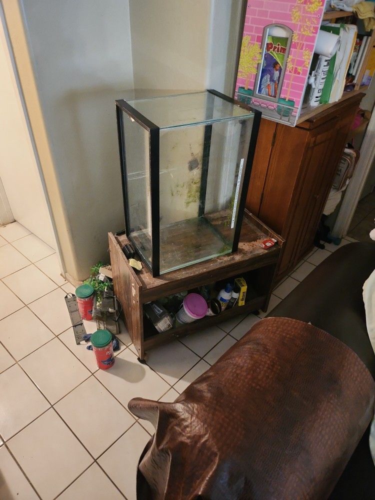 Gold Fish Tank