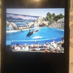 Sea World Tickets 