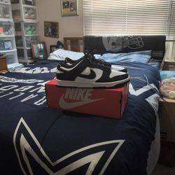 Brand New Dunks Never Been Worn Size 13 Still Has Box Never Been Worn