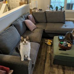 Sectional Couch 