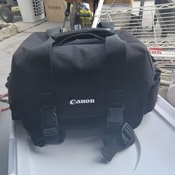 EOS Rebel T3 And Sony Dcr-sx65