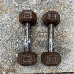 (2) Lot Of 8 Pound Pig Weights