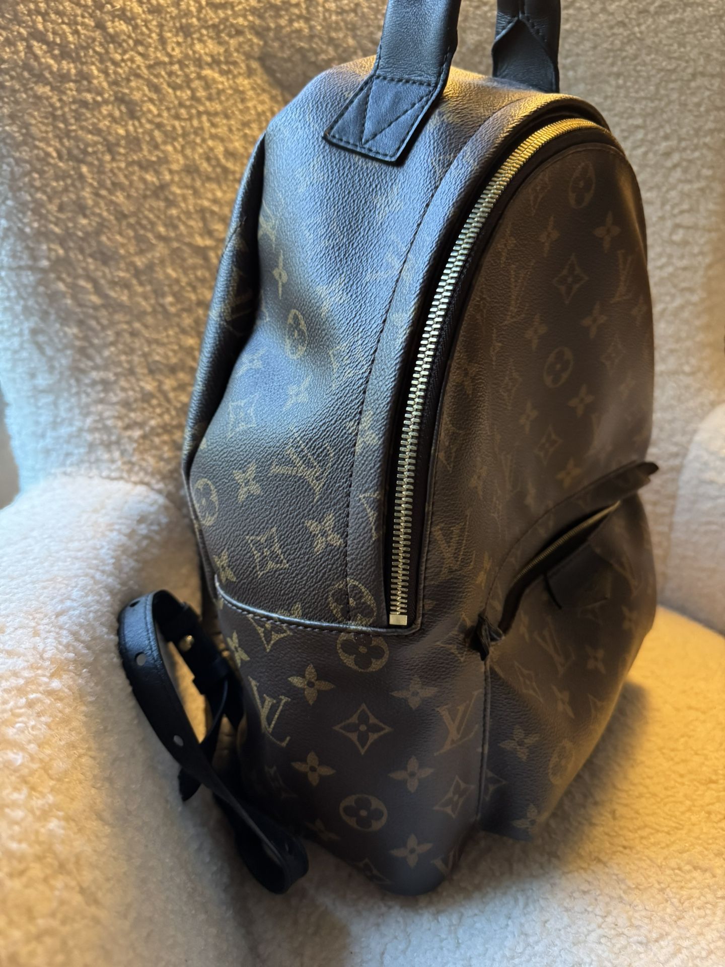 Louis Vuitton Palm Springs Backpack