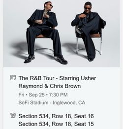 Chris Brown - Usher Concert