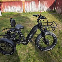 E-bike Trike! Motivated to sell