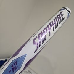 Easton FastPitch Softball Bat 31in -12