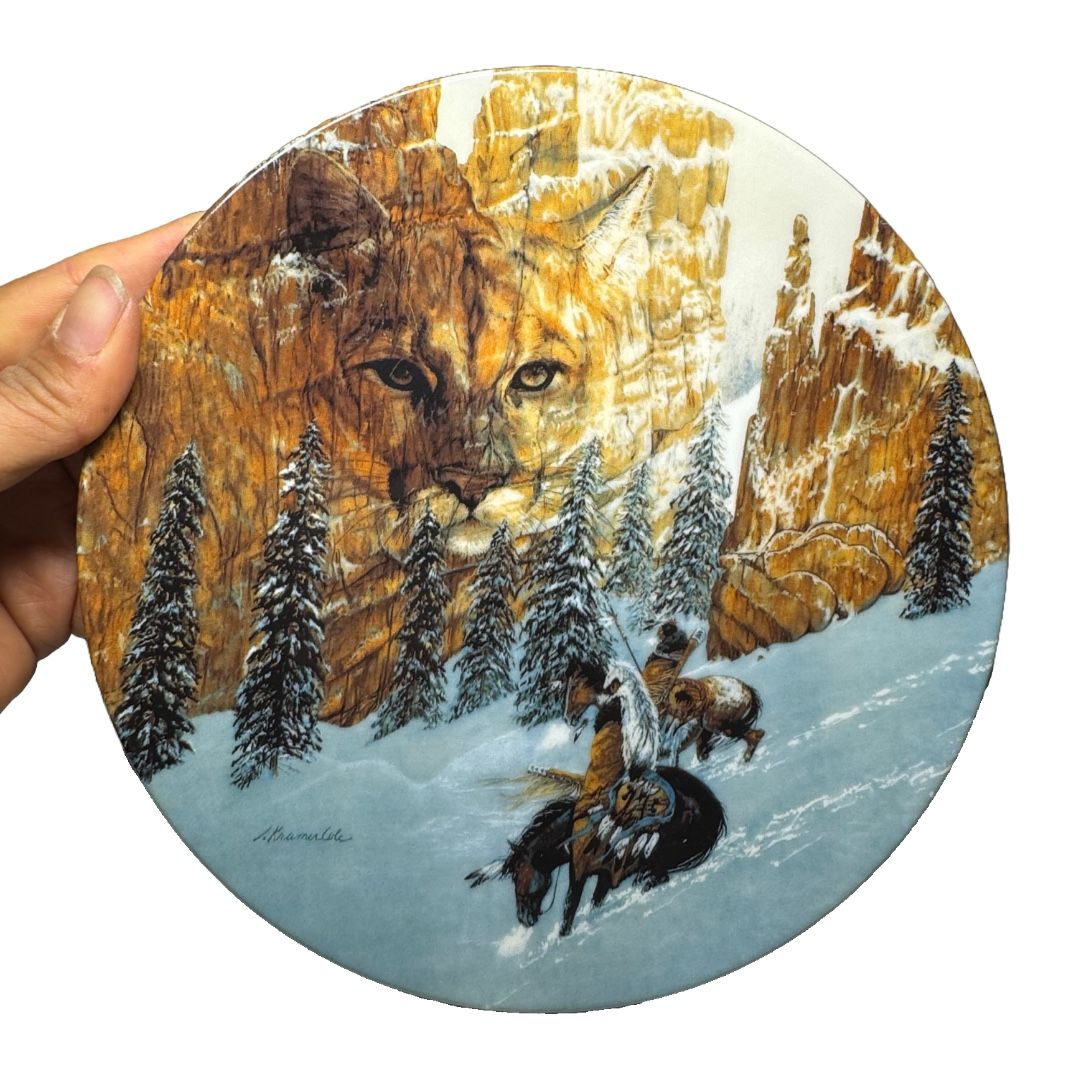 Vintage Julie Kramer Cole Faces Of Nature Coll.,"Canyon Of The Cat" Plate #8793k