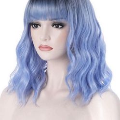 BRAND NEW WIG W/BOX $15