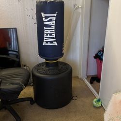 Punching Bag. Need Gone Today