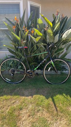 Giant Escape 2, Medium frame