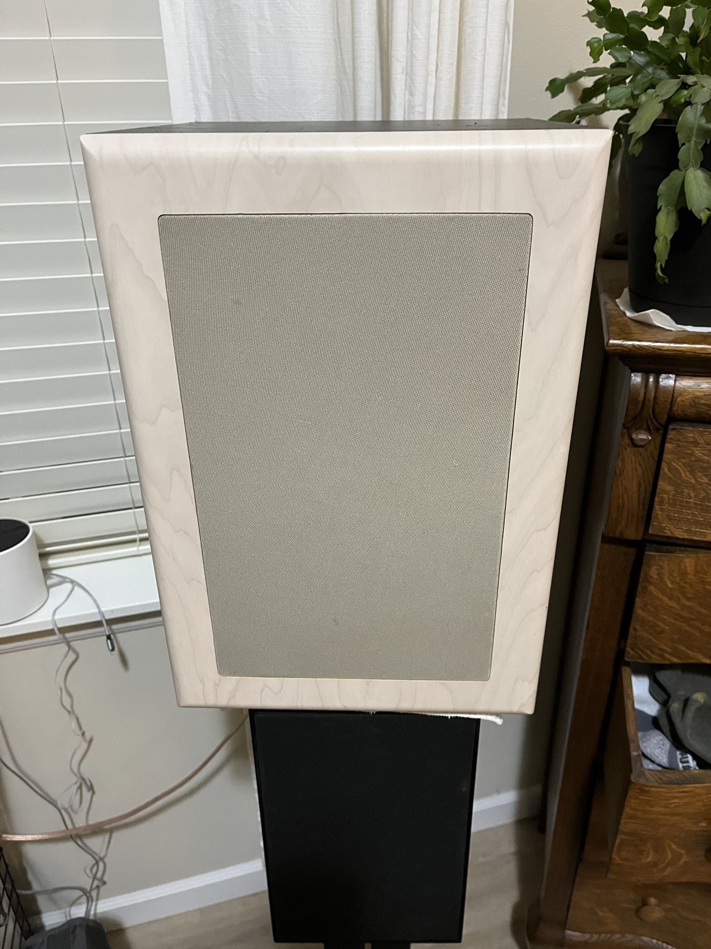 MB Quart Domain 40 Speakers