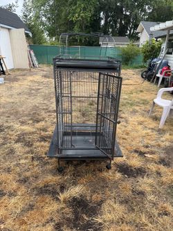 Parrot cage