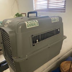 Airline Official Dog Kennel - Nice 