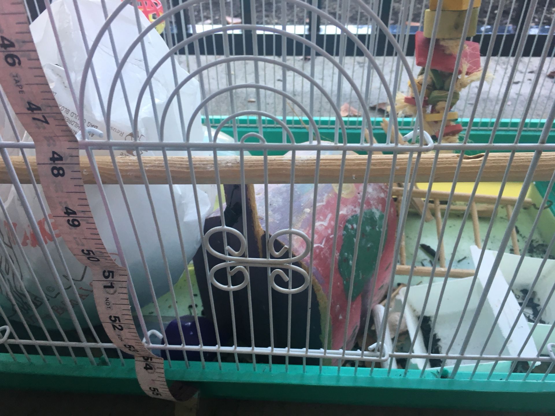 Parakeet cage enough for 4 birds easily