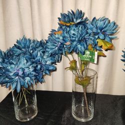 Saphire / Blue Mums