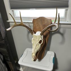Hand Made Euro Mount Deer Hanger
