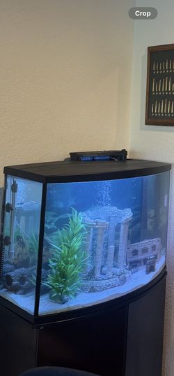 36 Gallon Fish Tank Everything Included 