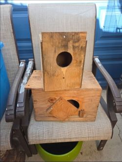 Take all nestboxes