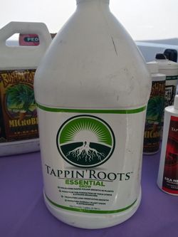 Tapping roots