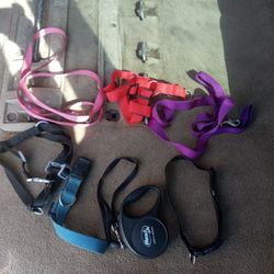 Small Bundle Dog Supplies