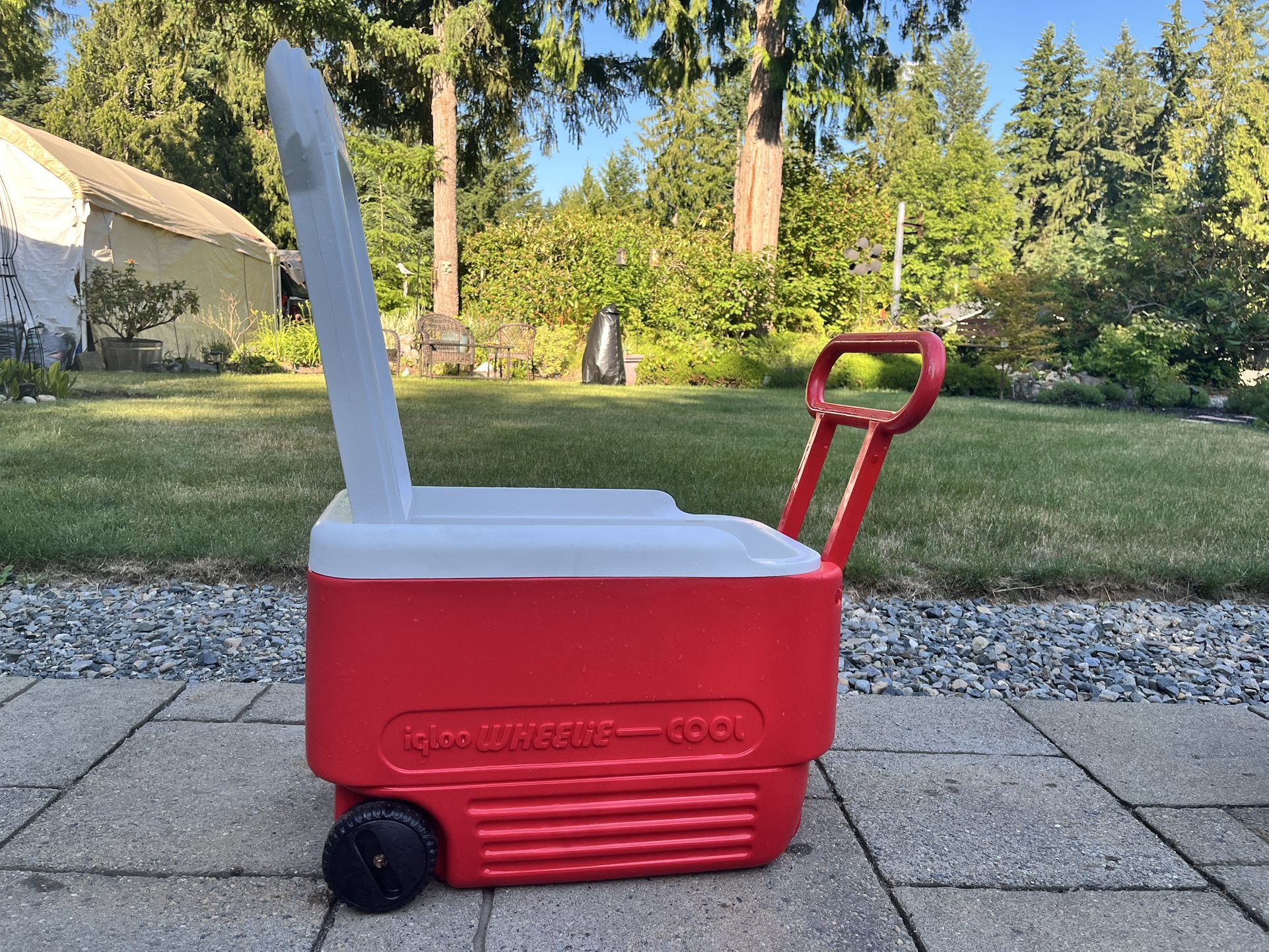 Cooler (with wheels!)