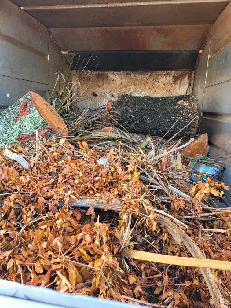 Free Mahogany Wood Logs 11 Big Pieces Will Deliver