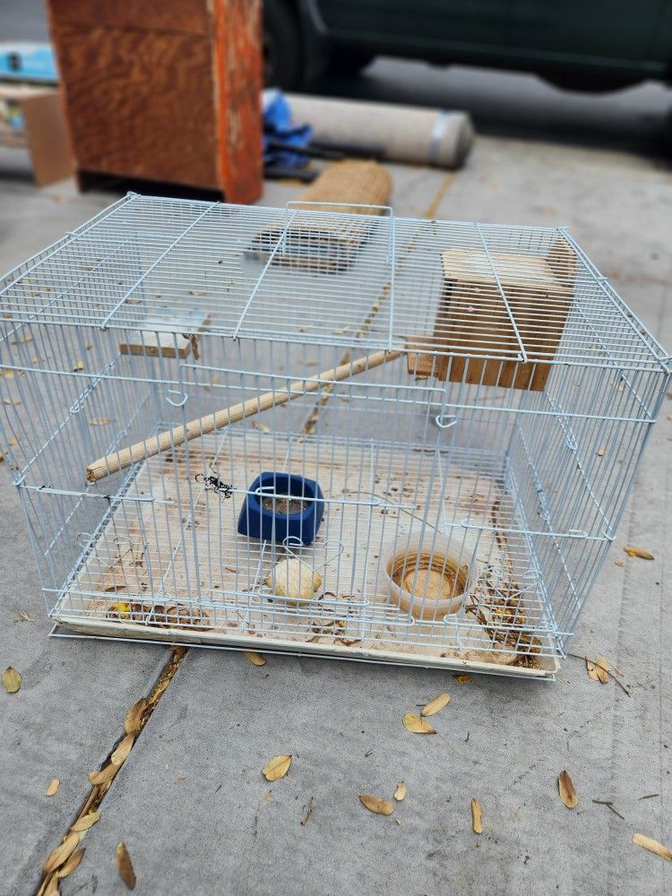 Bird Cage $10