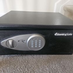 Sentry Safe