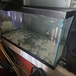 40 Gallon Aquarium Tank And Stand