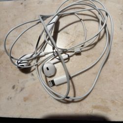Apple Earbuds 
