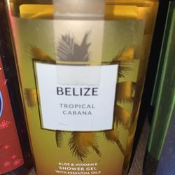 Bath &body Works Shower Gel