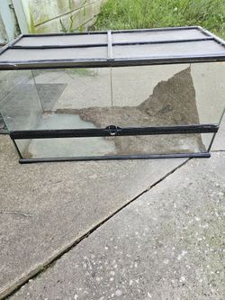 Reptile, Snake Enclosure.