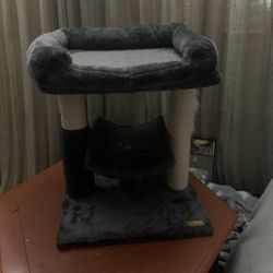 Cat Tree 