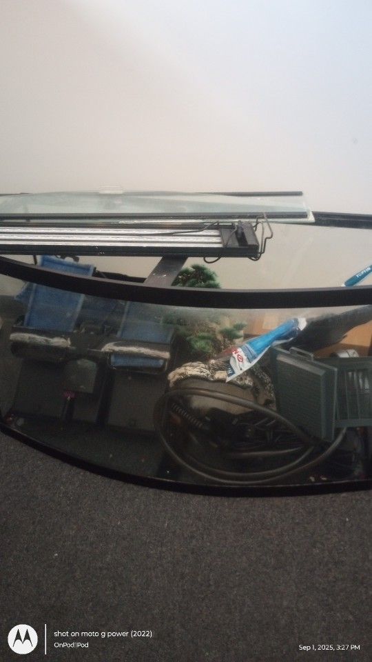 Fish Tank 55