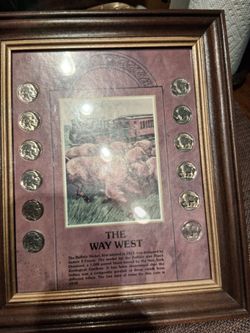 Buffalo nickles