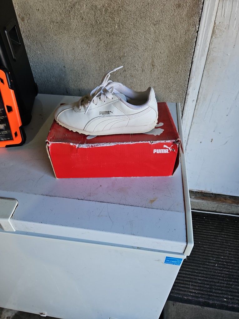 puma shoe