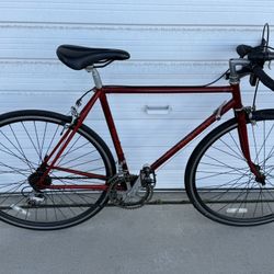 Vintage Road Bike - Bianchi