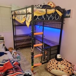 Loft Bed