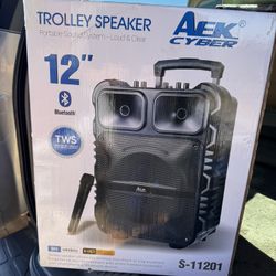 12” Bluetooth Speaker