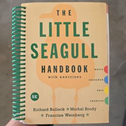 The Little Seagull